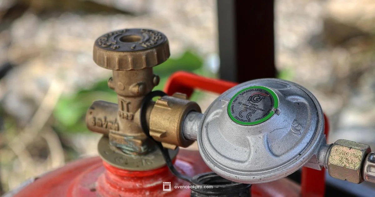 Gas Ovens for Sale Gas Ovens for Sale - Oven Cook Pro