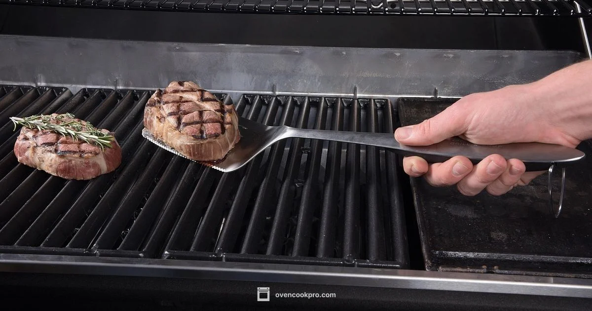 Reverse Sear Mastery - Oven Cook Pro