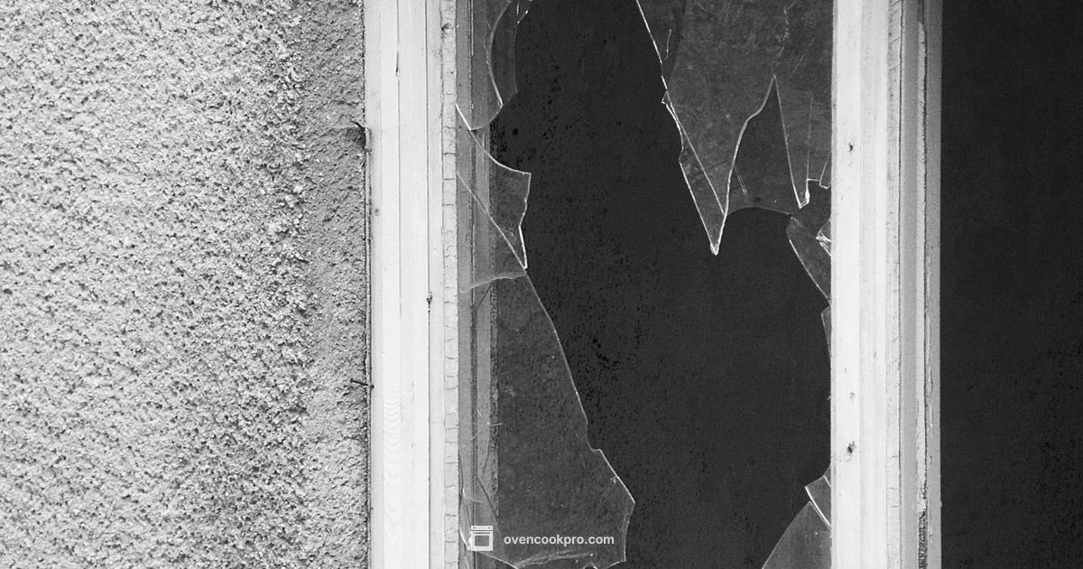 Broken Oven Glass - Oven Cook Pro