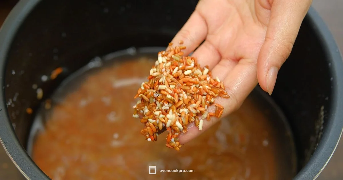 Oven Chicken Rice - Oven Cook Pro