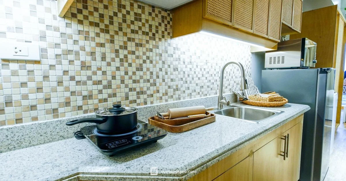 Oven Electric Range - Oven Cook Pro