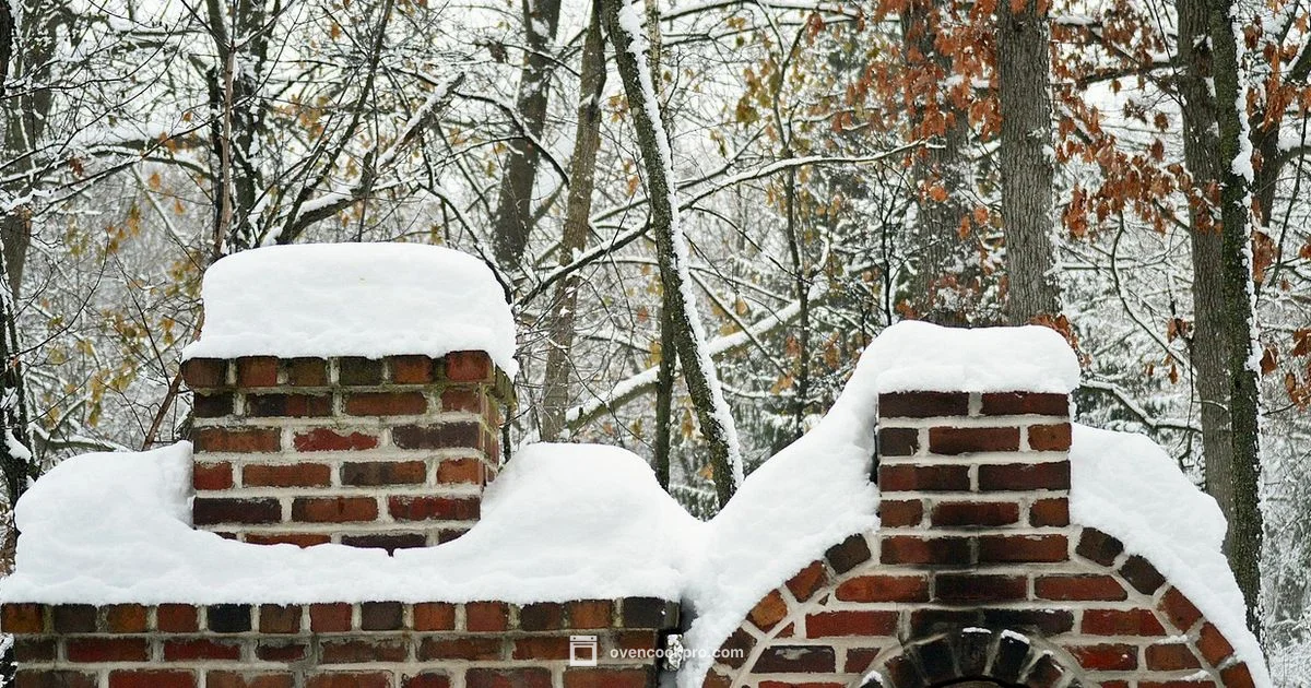 Backyard Flame Mastery Backyard Flame Mastery - Oven Cook Pro