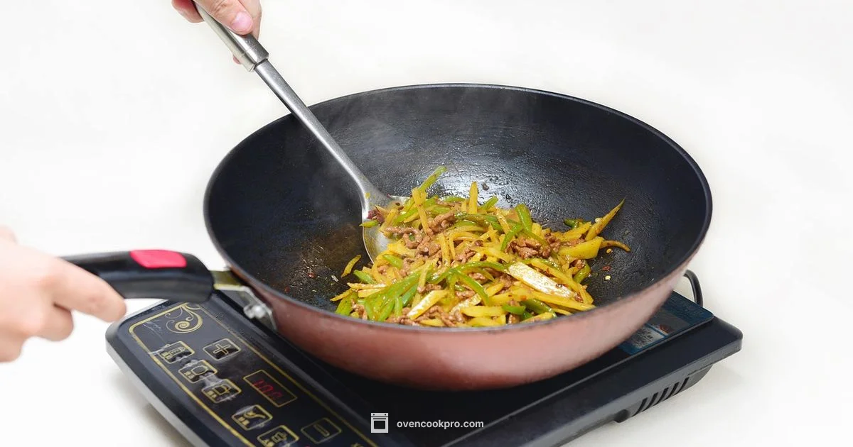 Induction Oven Guide - Oven Cook Pro