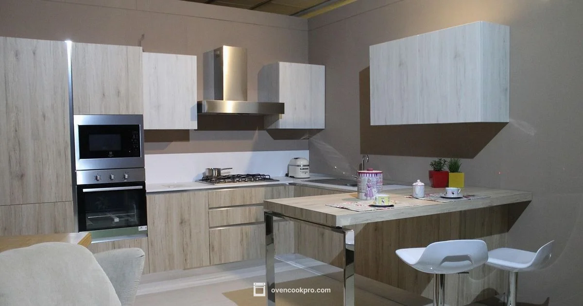 Fans in Ovens - Oven Cook Pro