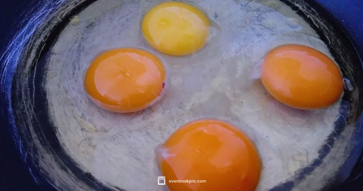 Microwave Egg Boil - Oven Cook Pro