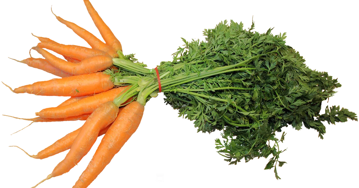 Oven Roasted Carrots - Oven Cook Pro