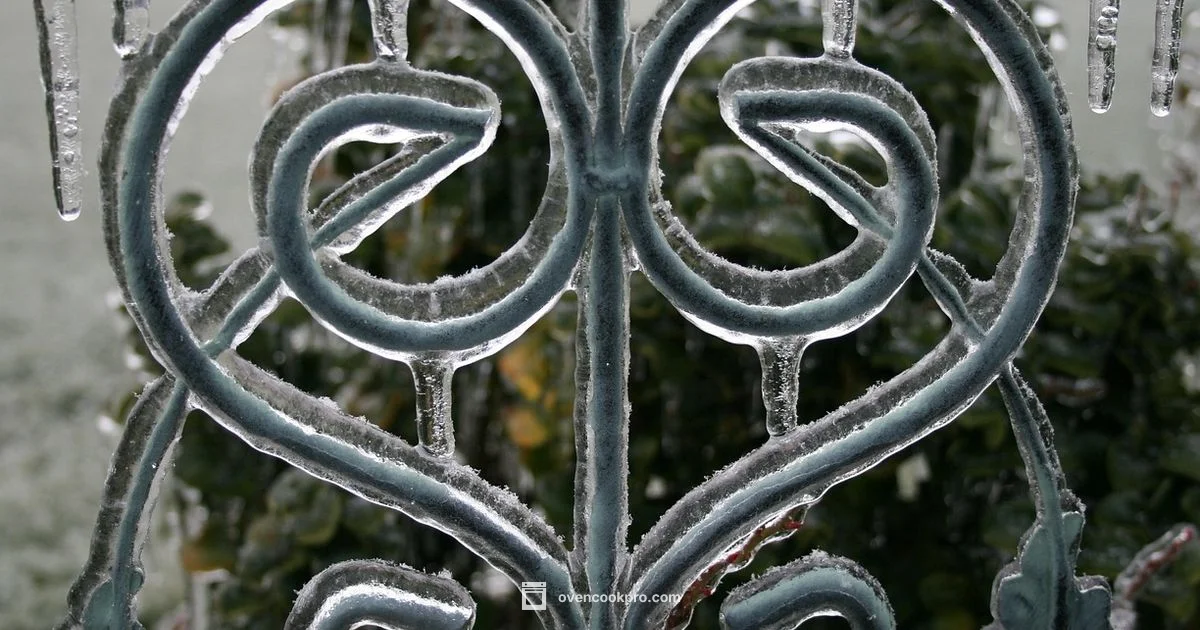 Induction Dutch Oven - Oven Cook Pro