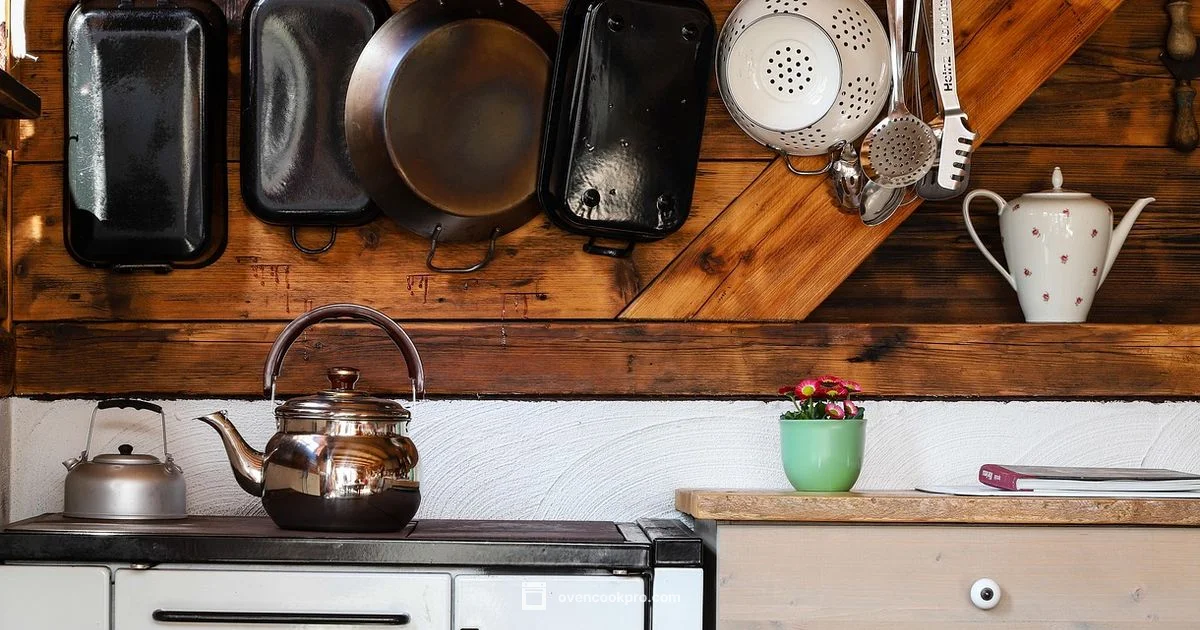 Built-In Ovens - Oven Cook Pro