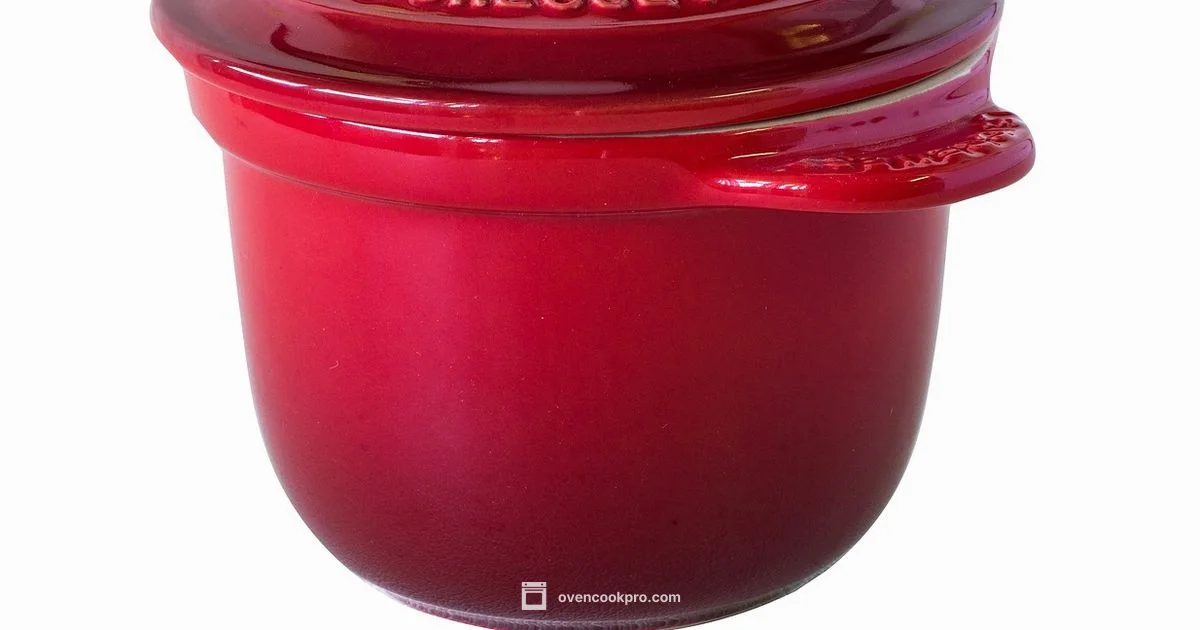 Clay Oven Guide - Oven Cook Pro