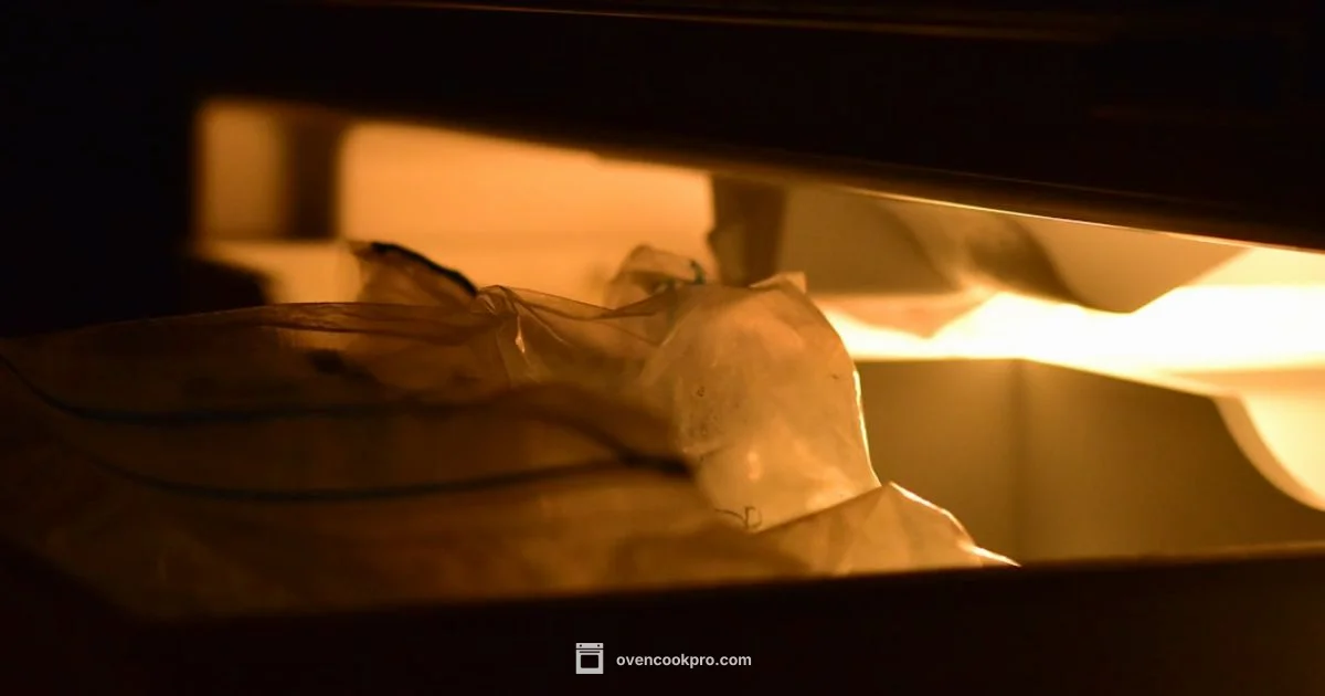 Melted Plastic in Oven - Oven Cook Pro