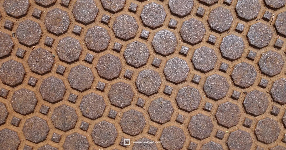 Care & Use Guide - Oven Cook Pro