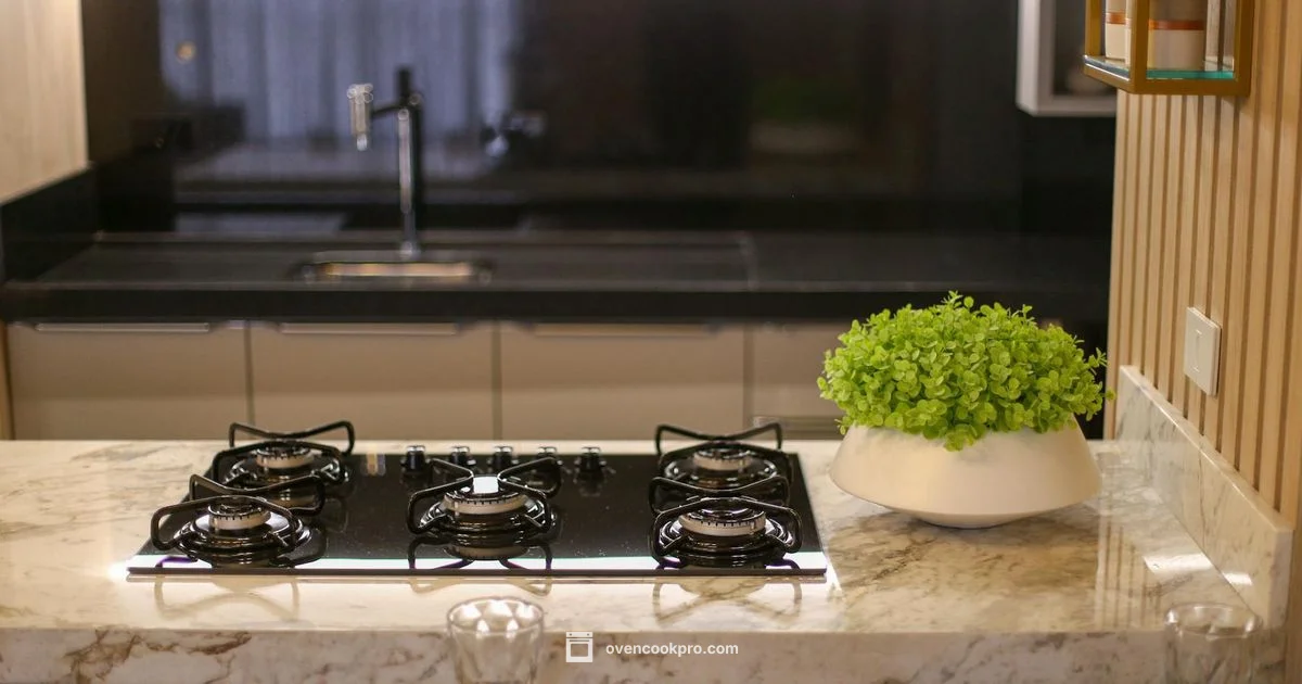 Gas Range Oven Power - Oven Cook Pro