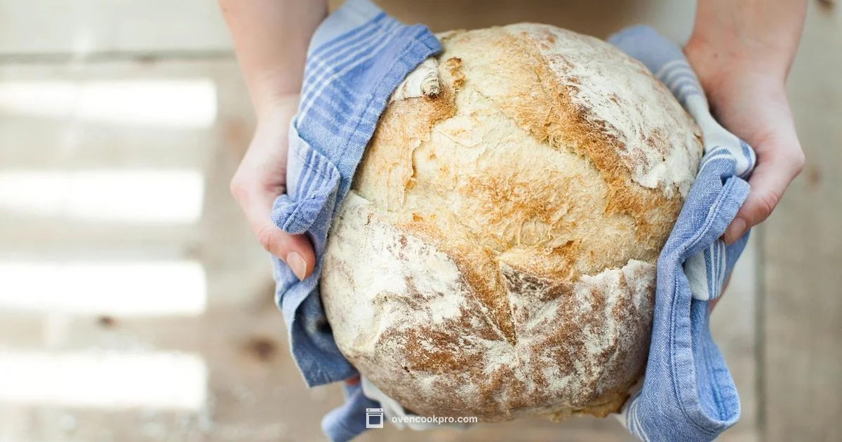 Crispy Fries in Oven - Oven Cook Pro
