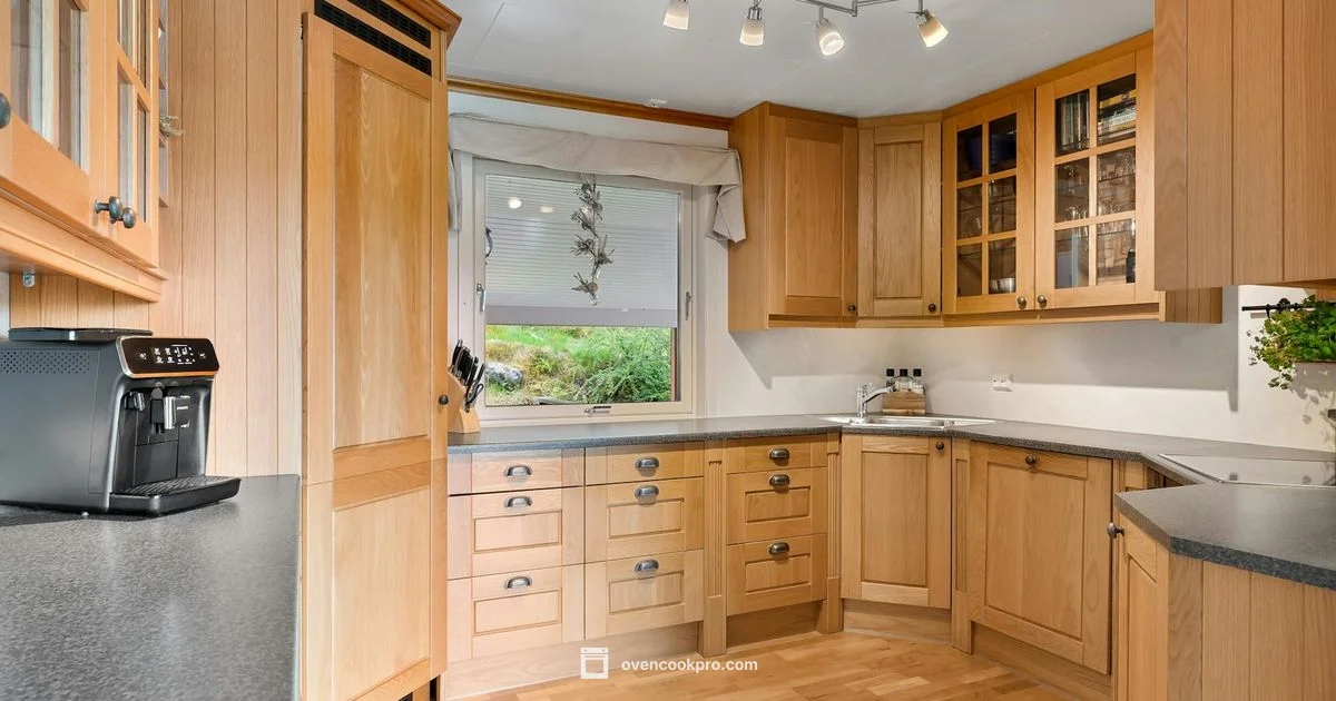 Oven Door Replacement - Oven Cook Pro