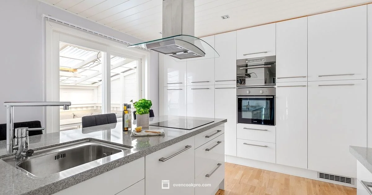 Pyrolytic Oven Worth It - Oven Cook Pro