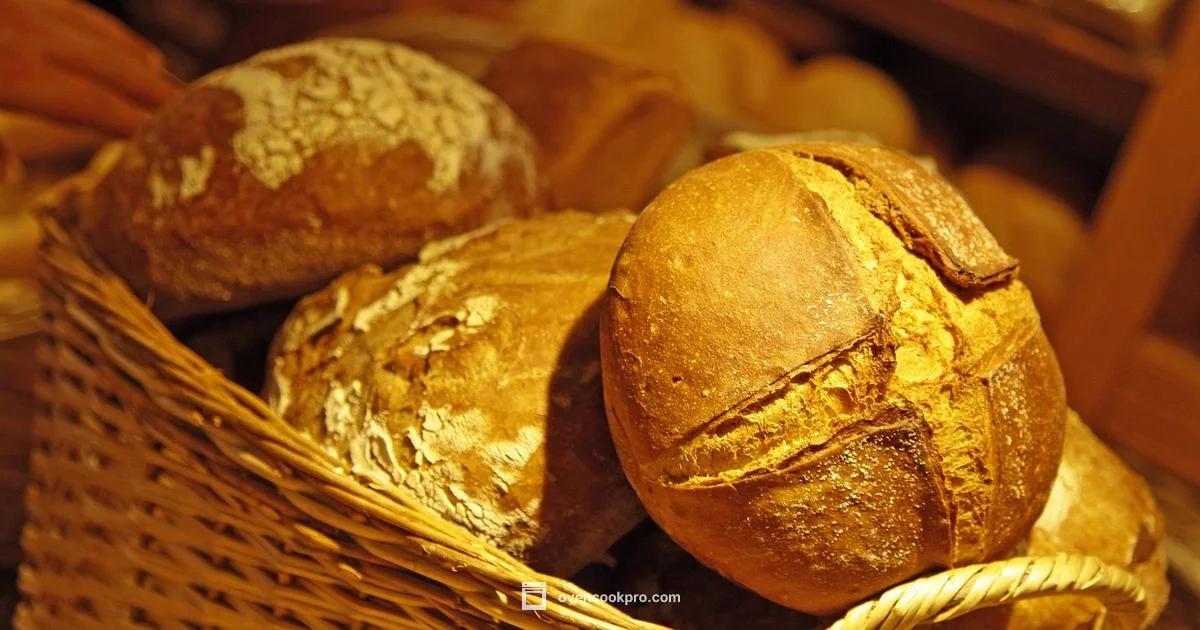 Best Oven Guide - Oven Cook Pro