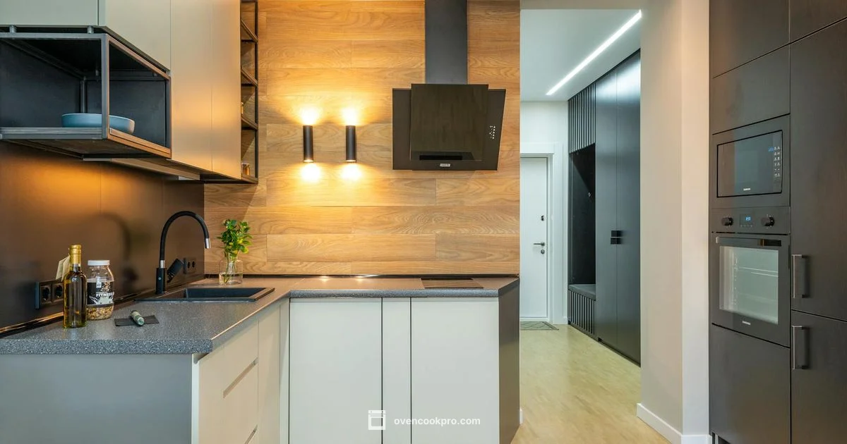 Are Electric Ovens Gas - Oven Cook Pro