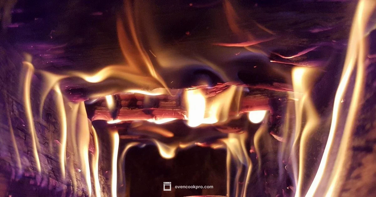 Oven Fire Guide - Oven Cook Pro