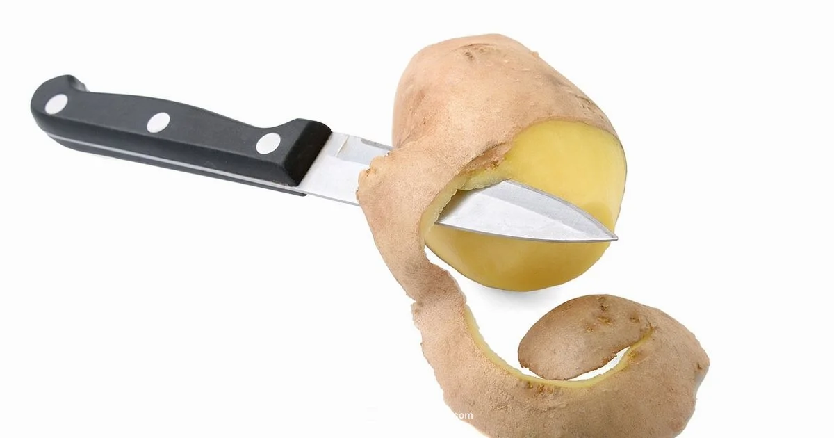 Electric Oven Stainless Steel - Oven Cook Pro