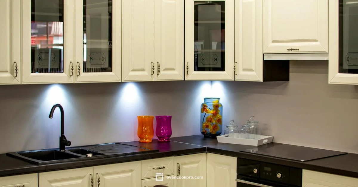 Best Electric Ovens - Oven Cook Pro