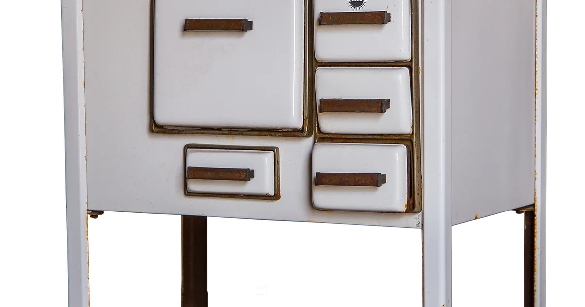 Convection Mastery - Oven Cook Pro