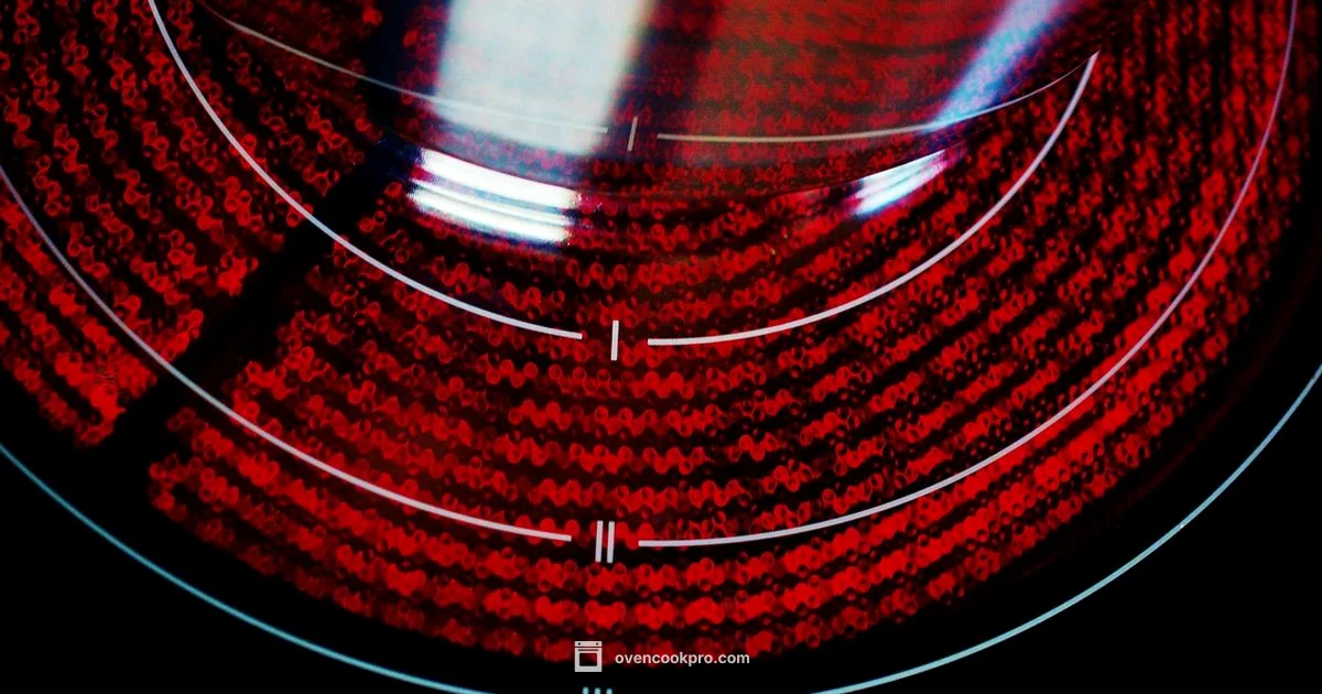 Gas vs Electric Gas vs Electric - Oven Cook Pro