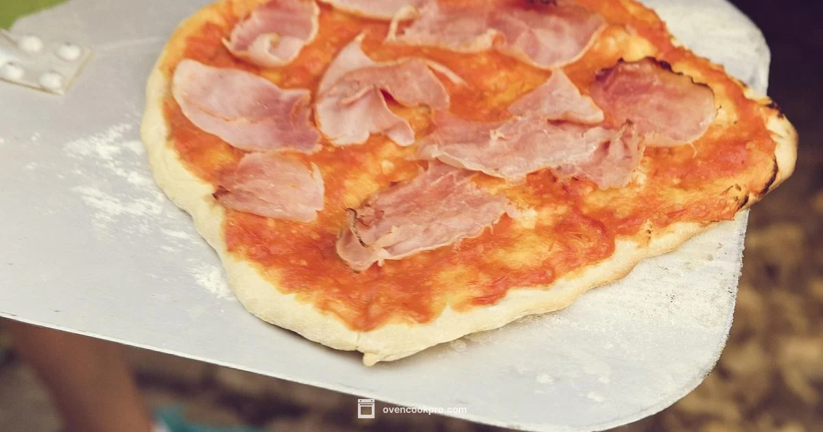 Pizza Oven Guide - Oven Cook Pro