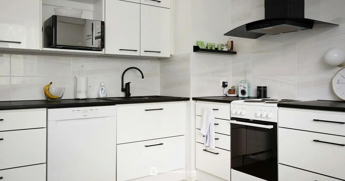 Convection Oven Basics - Oven Cook Pro