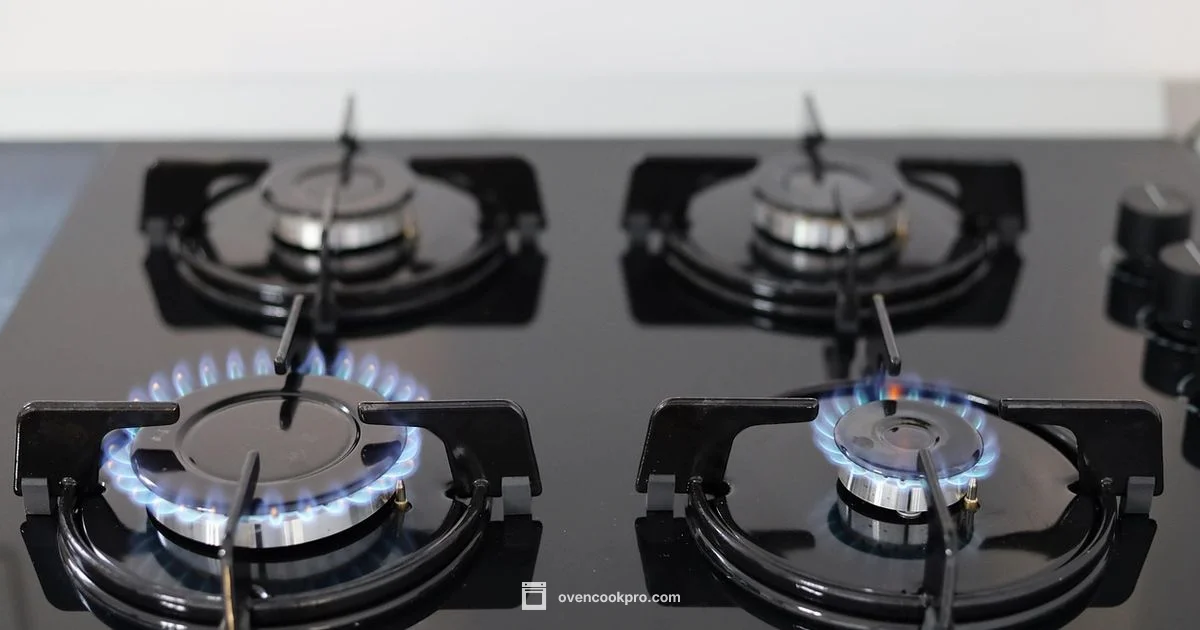 Oven Cleaner Myth - Oven Cook Pro