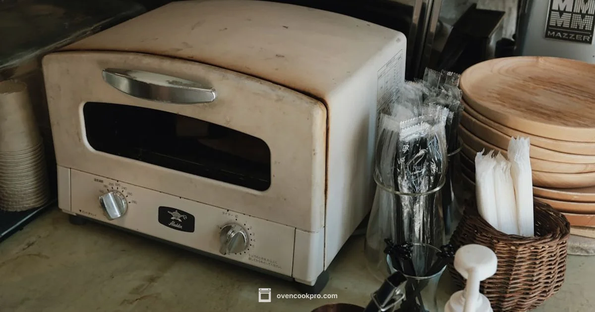 Master Your Electric Oven - Oven Cook Pro