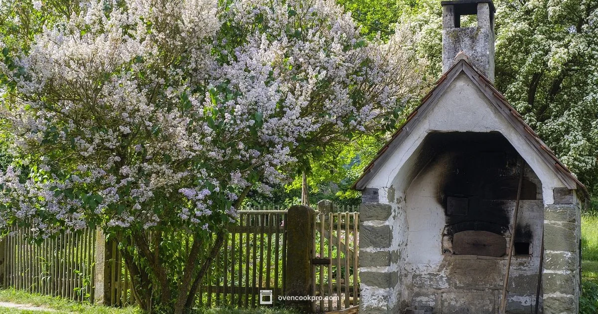 Oven Not Heating - Oven Cook Pro