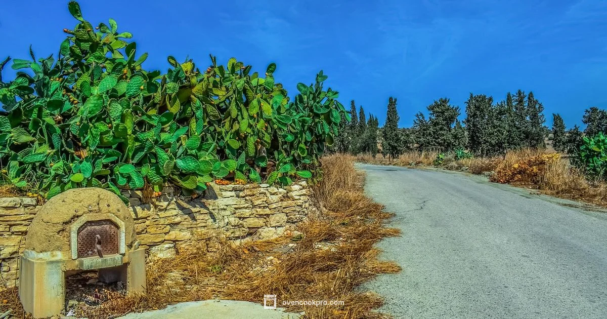 Pyrex Oven Safety - Oven Cook Pro