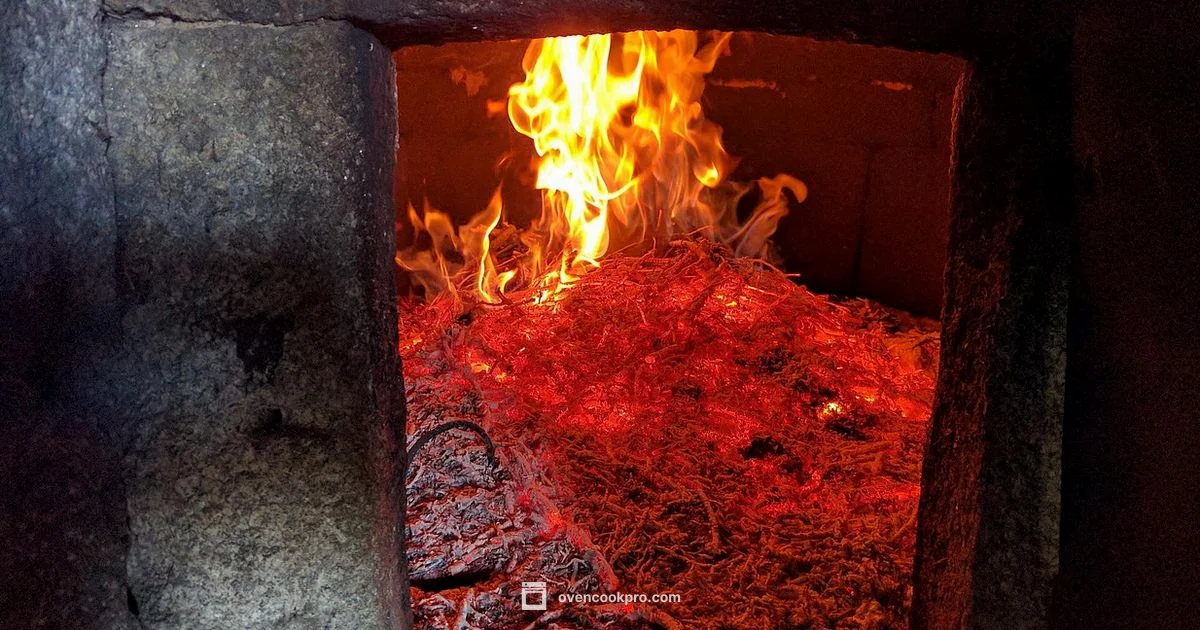 Ceramics Kiln Guide - Oven Cook Pro