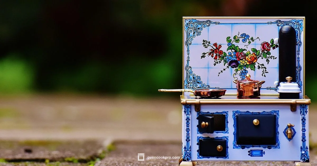 Electric Oven Guide - Oven Cook Pro