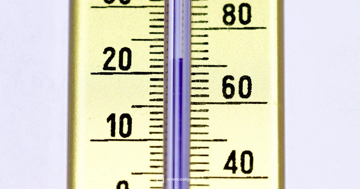 Oven Safety - Oven Cook Pro