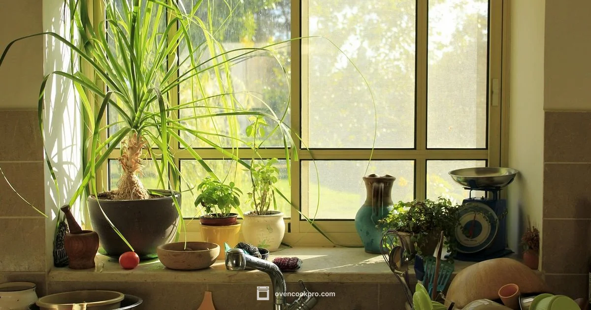 Oven vs Microwave Safety - Oven Cook Pro