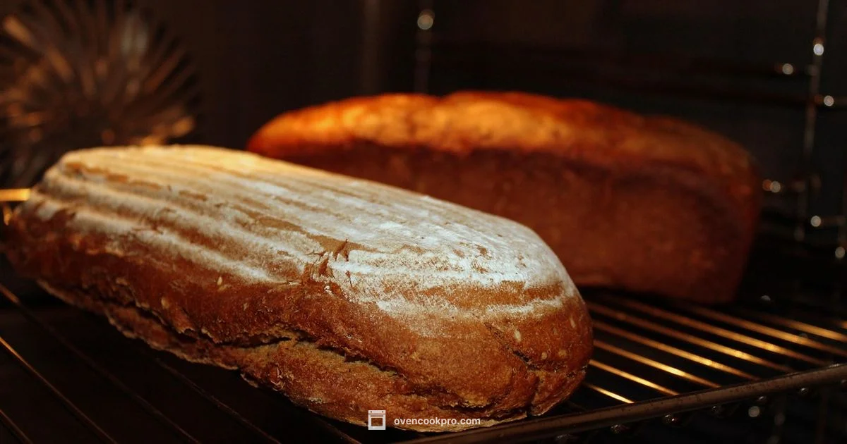 Deck Oven Guide - Oven Cook Pro