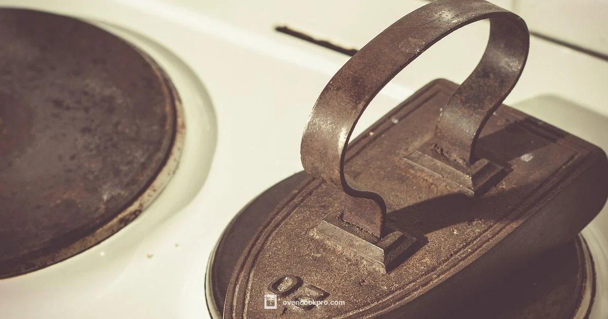 Dutch Oven Weight - Oven Cook Pro