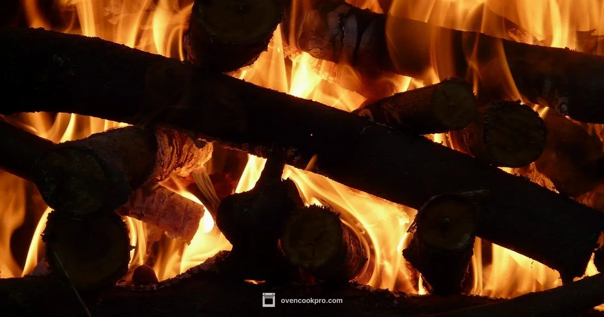 Oven Door Heat - Oven Cook Pro