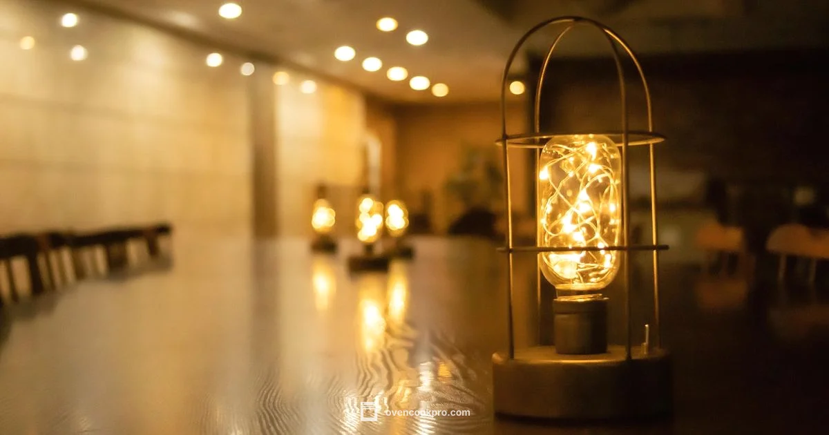 Oven Lamp Guide - Oven Cook Pro