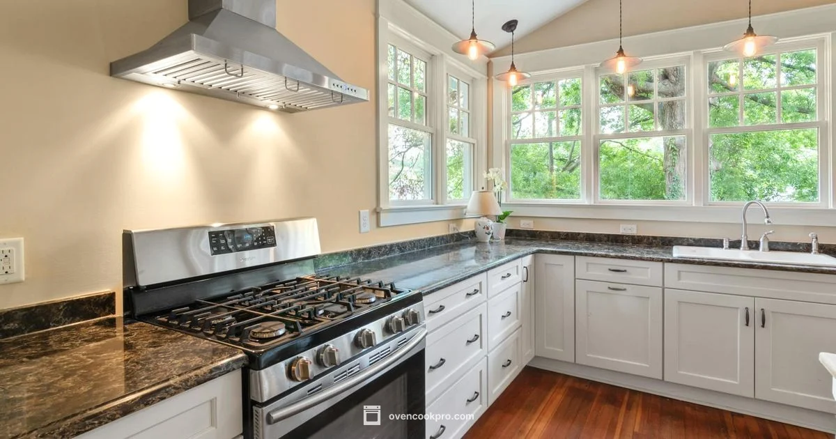 Oven Basics - Oven Cook Pro