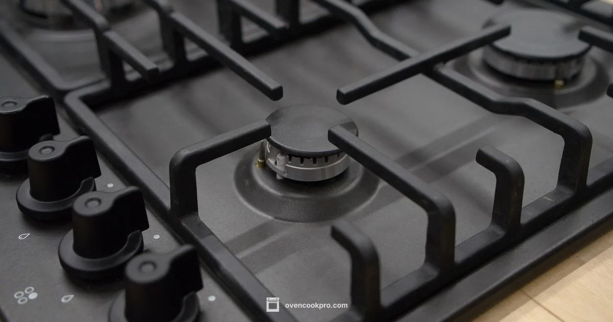 Gas Oven Basics - Oven Cook Pro