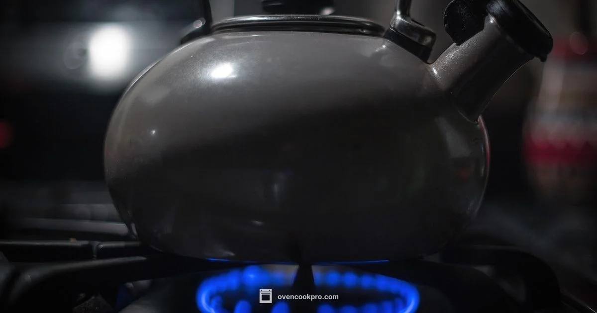 Gas Stove with Oven - Oven Cook Pro