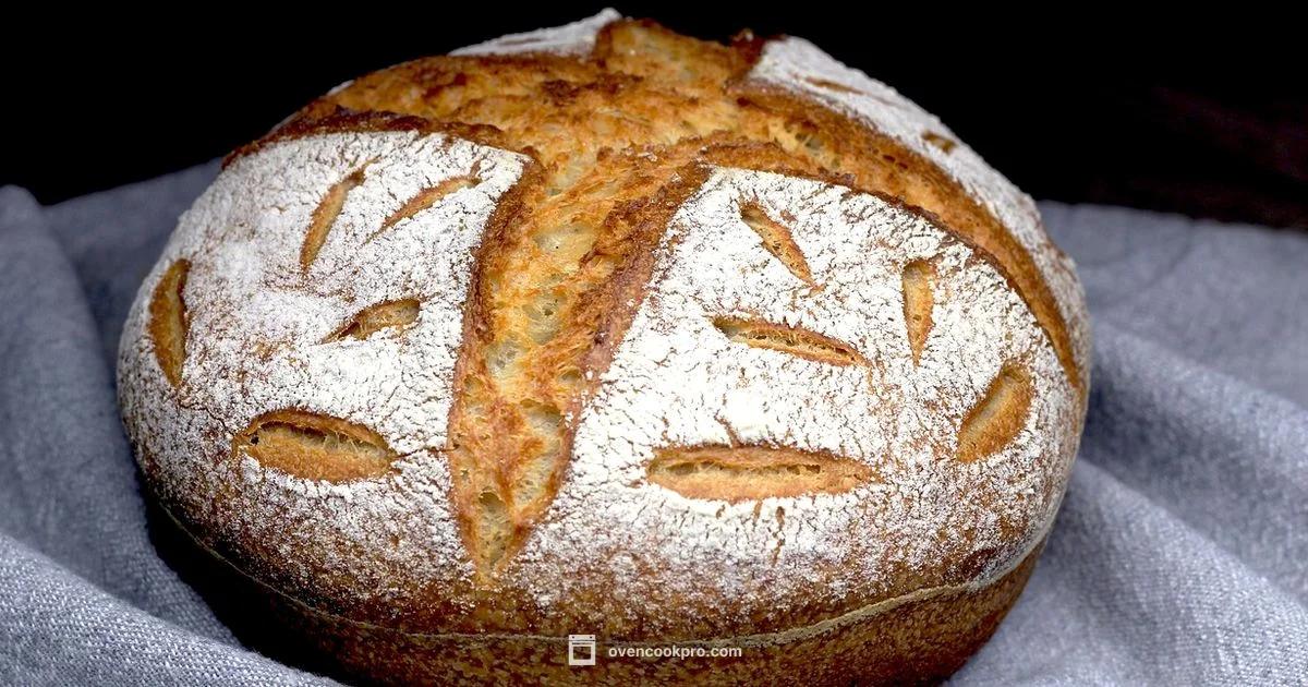 Sourdough Oven Guide - Oven Cook Pro