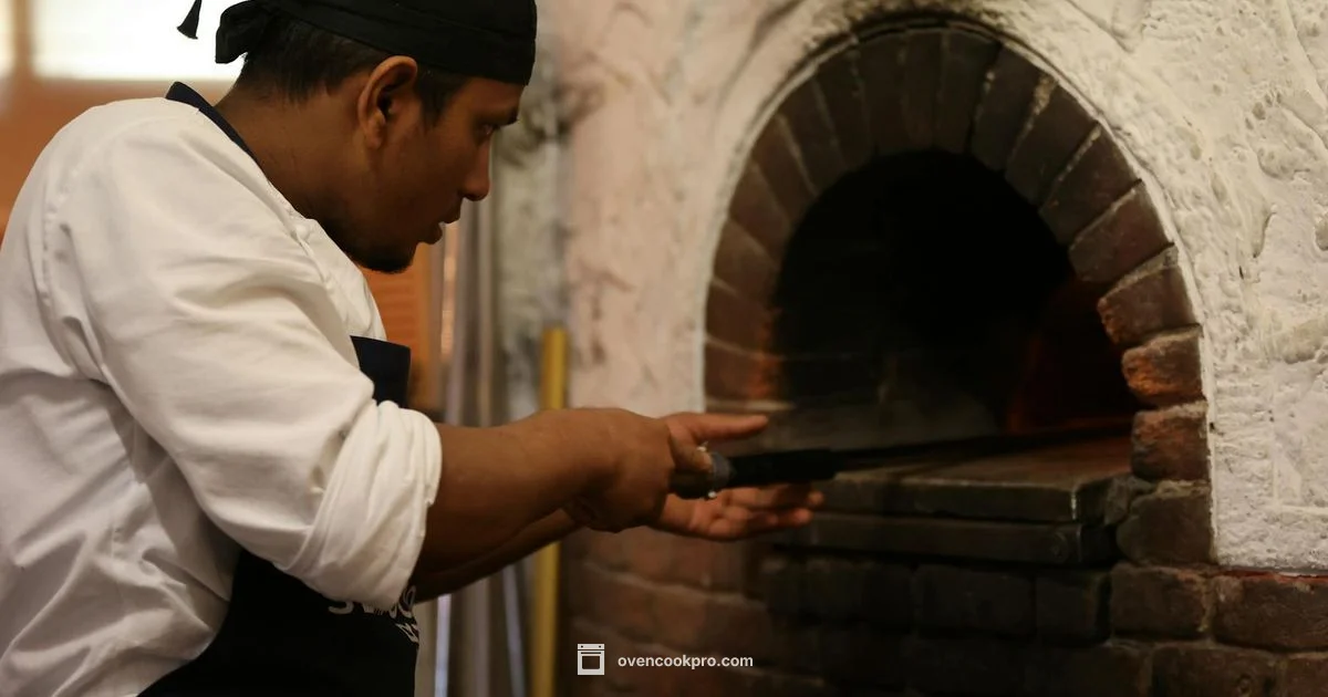 Best Roasting Oven - Oven Cook Pro