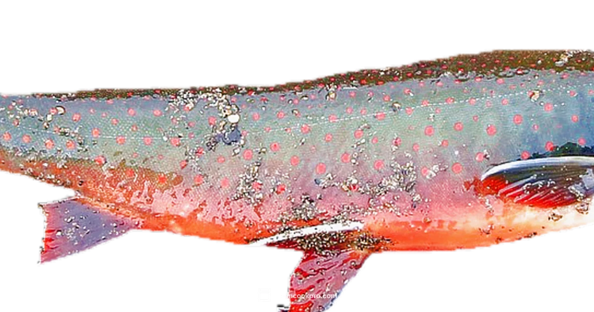 Foiled Salmon in Oven - Oven Cook Pro