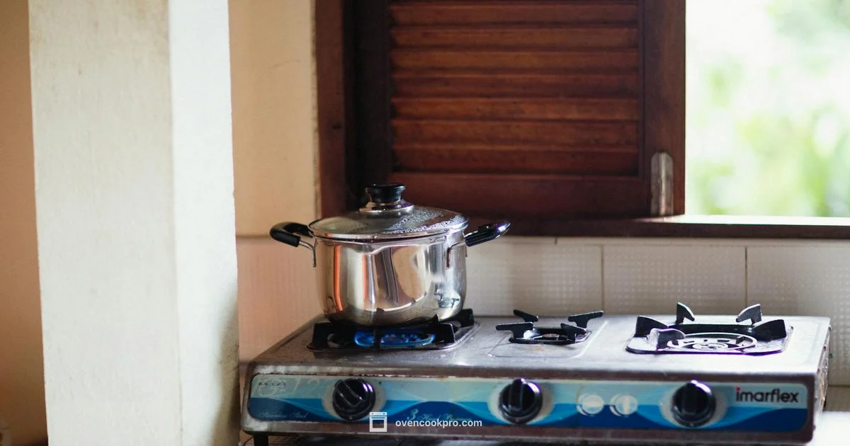 Gas Ovens 2026 - Oven Cook Pro