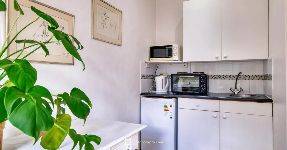 Small Oven, Big Flavor - Oven Cook Pro