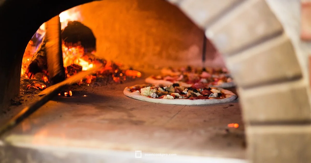 Pizza Oven Prices - Oven Cook Pro