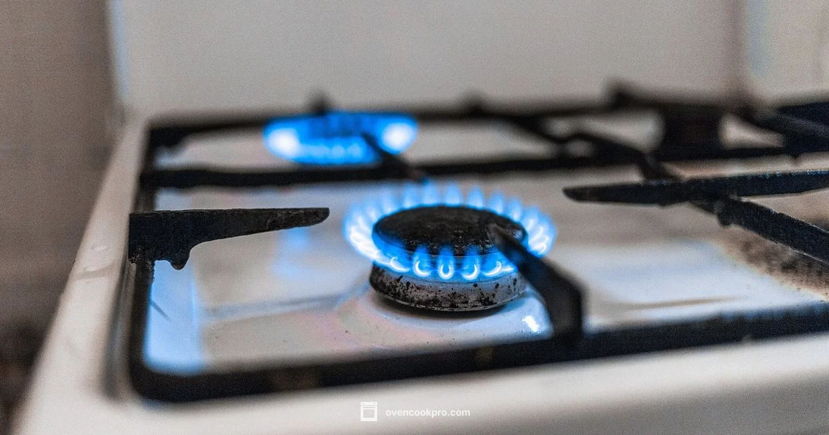 CO Risk in Ovens - Oven Cook Pro